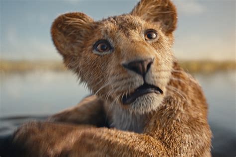 Mufasa (The Lion King) .